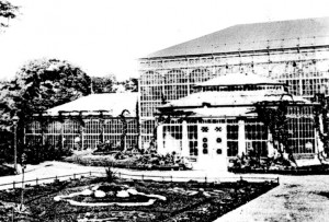Die Gewächshäuser um 1900