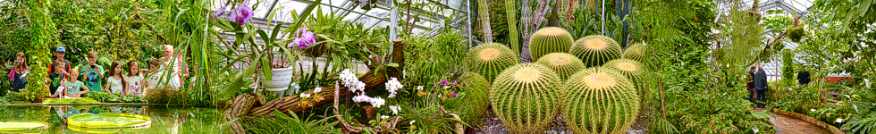 Gruson Gewächshäuser Magdeburg