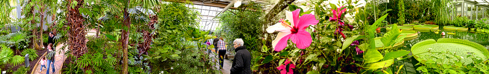 Gruson Gewächshäuser Magdeburg