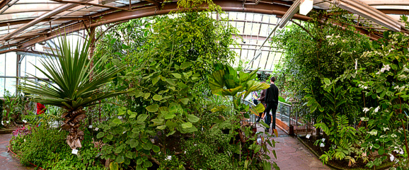 Panorama Großes Tropenhaus