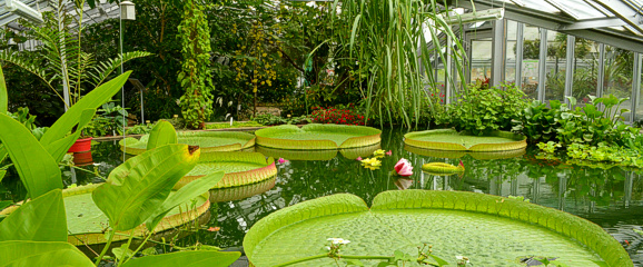 Panorama Kleines Tropenhaus